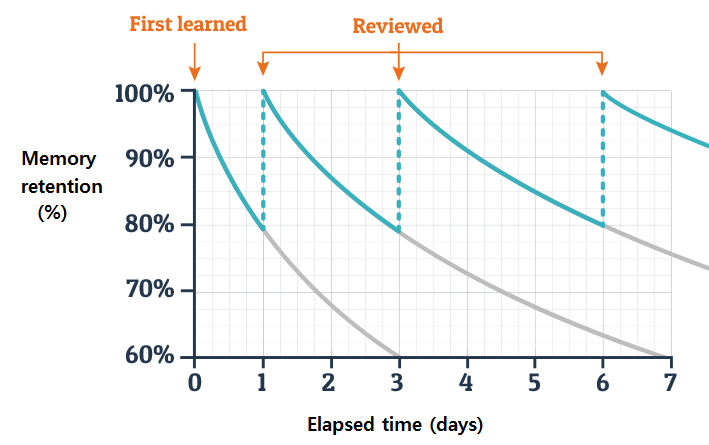 Forgetting Curve